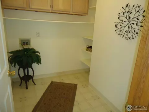 907 Ridge Ct, Windsor, CO 80550 photo 13