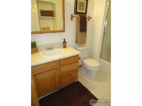907 Ridge Ct, Windsor, CO 80550 photo 10