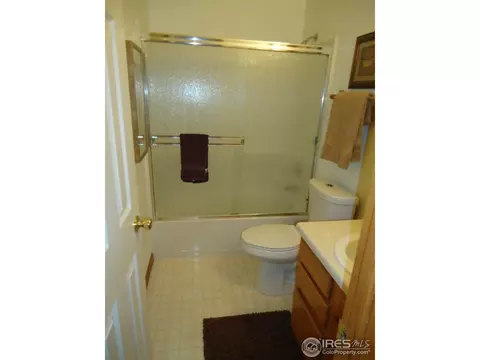 907 Ridge Ct, Windsor, CO 80550 photo 11