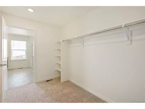 1826 Hydrangea Dr, Windsor, CO 80550 photo 22