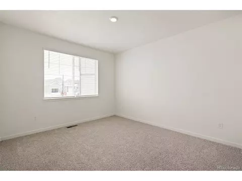 1826 Hydrangea Dr, Windsor, CO 80550 photo 16