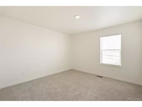 1826 Hydrangea Dr, Windsor, CO 80550 photo 19