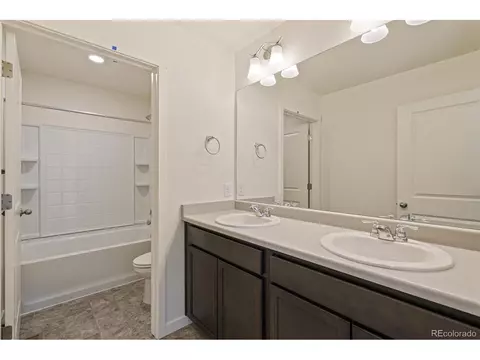 1826 Hydrangea Dr, Windsor, CO 80550 photo 25