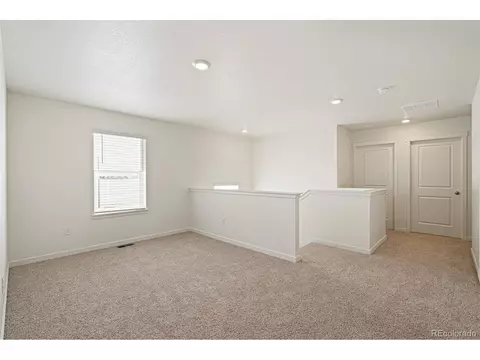 1826 Hydrangea Dr, Windsor, CO 80550 photo 14