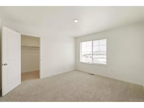 1826 Hydrangea Dr, Windsor, CO 80550 photo 21