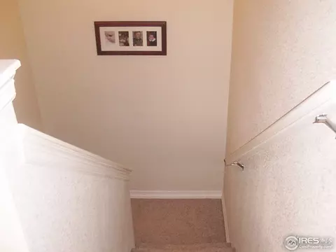 3606 Palermo Ave, Evans, CO 80620 photo 13
