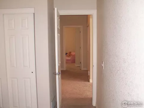 3606 Palermo Ave, Evans, CO 80620 photo 14