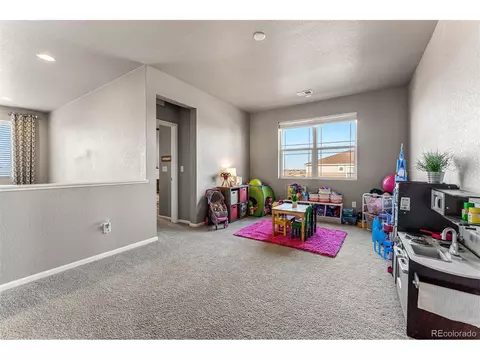 6989 E 123rd Pl, Thornton, CO 80602 photo 20