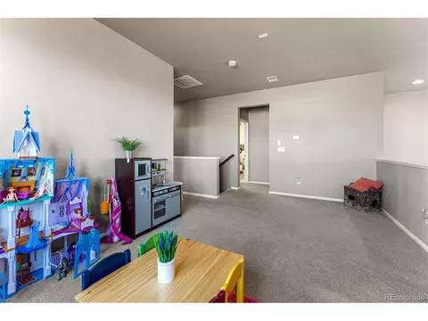 6989 E 123rd Pl, Thornton, CO 80602 photo 22