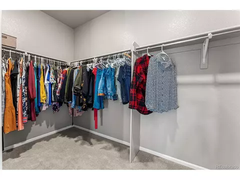 6989 E 123rd Pl, Thornton, CO 80602 photo 29