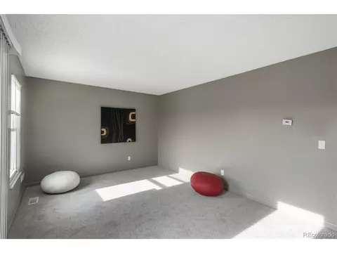 19704 E Batavia Dr, Aurora, CO 80011 photo 11