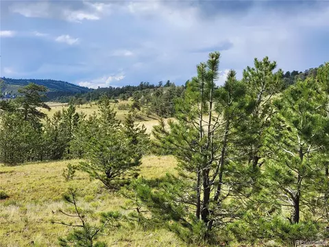 1117 Larimer Dr, Hartsel, CO 80449