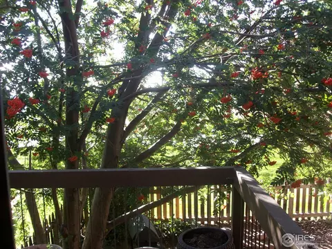 3790 Smuggler Pl, Boulder, CO 80305 photo 17