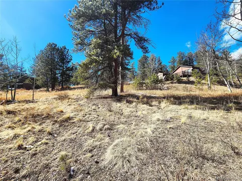 144 Gray St, Bailey, CO 80421 photo 3