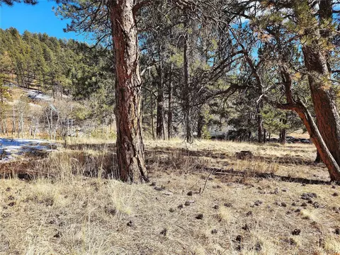 144 Gray St, Bailey, CO 80421 photo 22