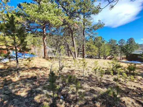 144 Gray St, Bailey, CO 80421 photo 19