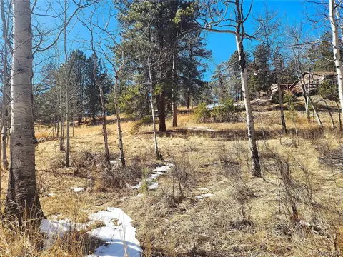 144 Gray St, Bailey, CO 80421 photo 7
