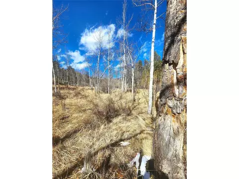 144 Gray St, Bailey, CO 80421 photo 4