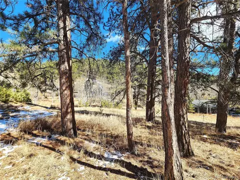 144 Gray St, Bailey, CO 80421 photo 24