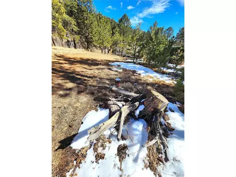 144 Gray St, Bailey, CO 80421 photo 21