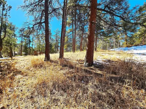 144 Gray St, Bailey, CO 80421 photo 13