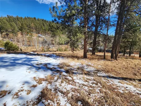 144 Gray St, Bailey, CO 80421 photo 23