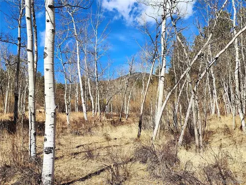 144 Gray St, Bailey, CO 80421 photo 10