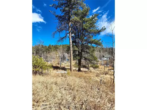144 Gray St, Bailey, CO 80421 photo 14