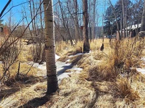 144 Gray St, Bailey, CO 80421 photo 9