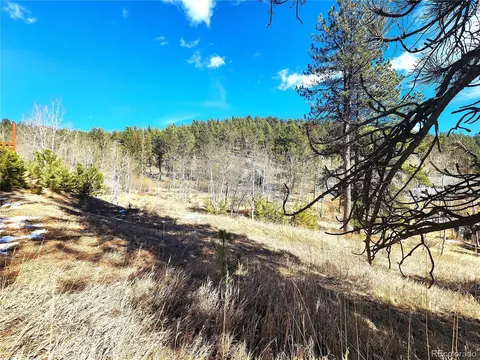 144 Gray St, Bailey, CO 80421 photo 12