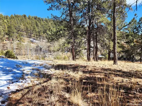 144 Gray St, Bailey, CO 80421 photo 20