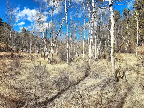 144 Gray St, Bailey, CO 80421 photo 6