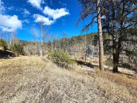 144 Gray St, Bailey, CO 80421 photo 15