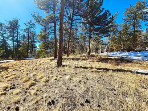 144 Gray St, Bailey, CO 80421 photo 11