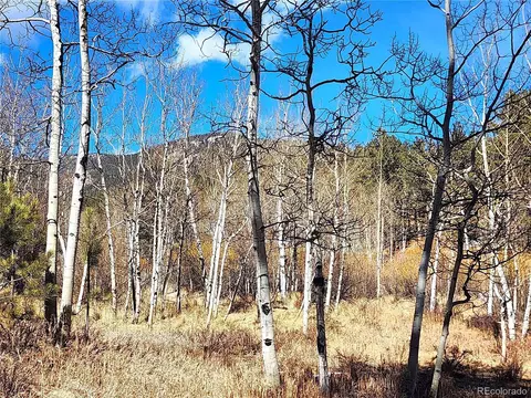 144 Gray St, Bailey, CO 80421 photo 16