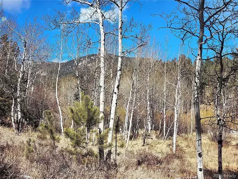 144 Gray St, Bailey, CO 80421 photo 5