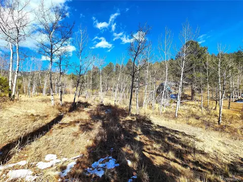 144 Gray St, Bailey, CO 80421 photo 17