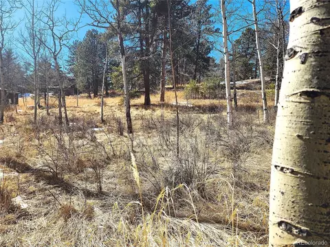 144 Gray St, Bailey, CO 80421 photo 8