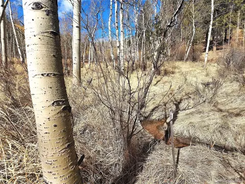 144 Gray St, Bailey, CO 80421 photo 2