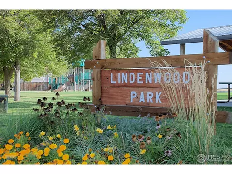 229 Summit Cir, Lafayette, CO 80026 photo 20