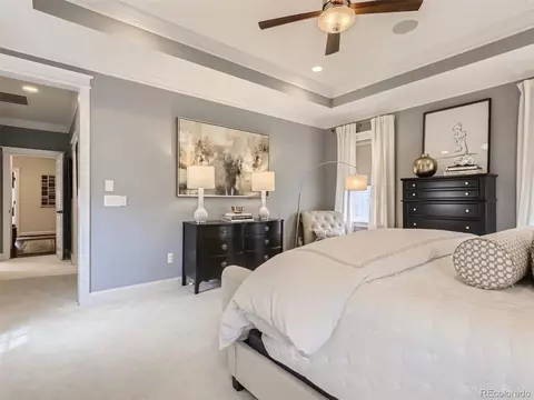 5486 Xanthia St, Denver, CO 80238 photo 20
