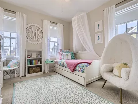 5486 Xanthia St, Denver, CO 80238 photo 26
