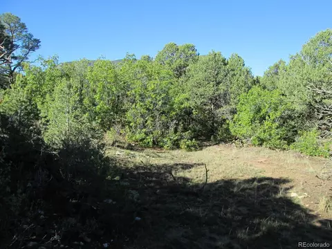 197 Clg, Gardner, CO 81040 photo 19