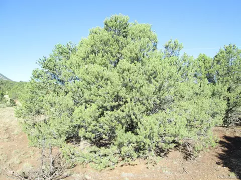 197 Clg, Gardner, CO 81040 photo 5