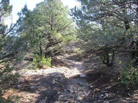 197 Clg, Gardner, CO 81040 photo 27
