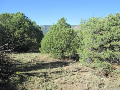 197 Clg, Gardner, CO 81040 photo 23