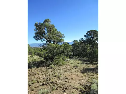 197 Clg, Gardner, CO 81040 photo 30