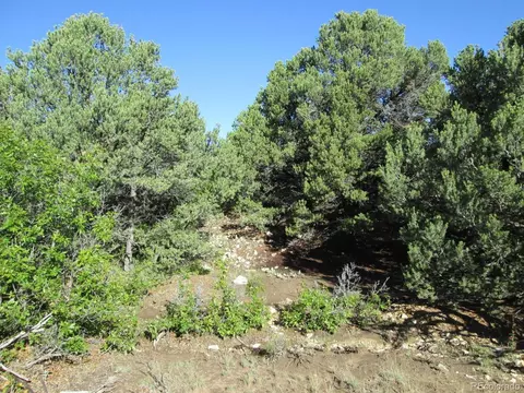 197 Clg, Gardner, CO 81040 photo 18