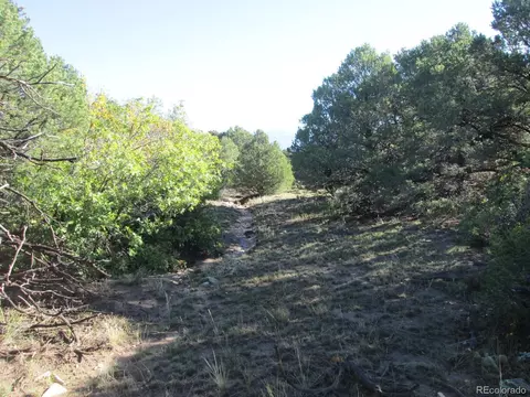 197 Clg, Gardner, CO 81040 photo 17