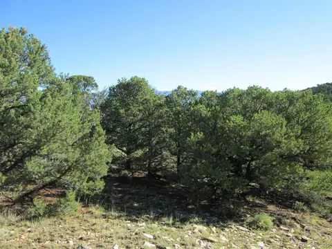 197 Clg, Gardner, CO 81040 photo 29